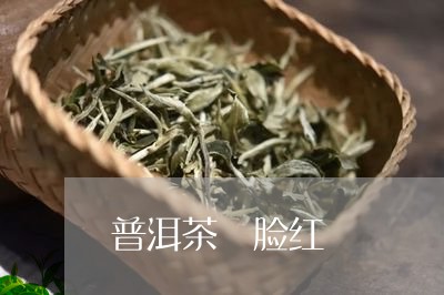 普洱茶 脸红/2023042824518